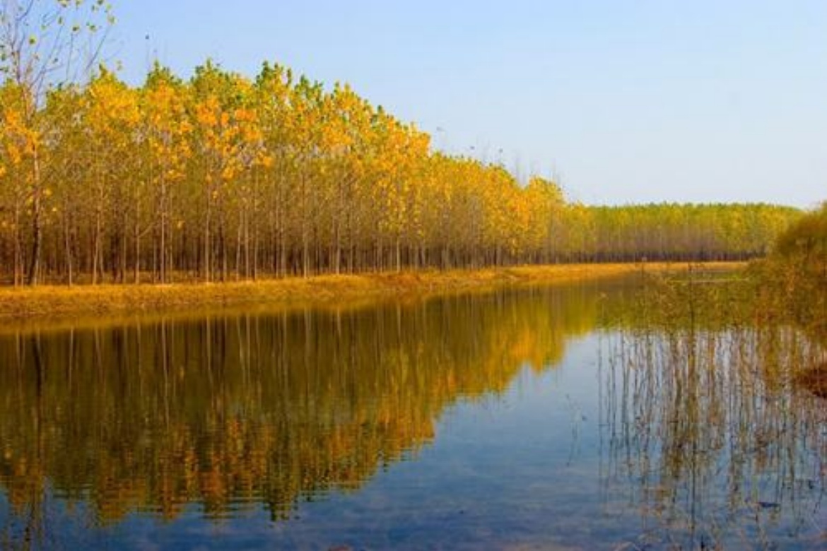 Yellow River Ancient Channel Park